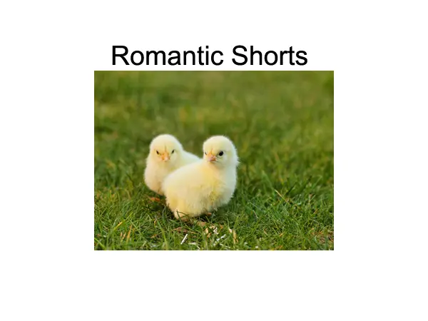 Best Hindi Romantic Shorts